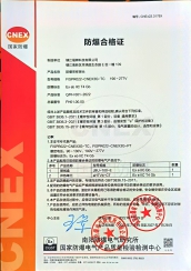 Explosion-Proof Sampling Probe Certificate